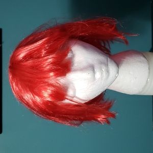 Costume Wig